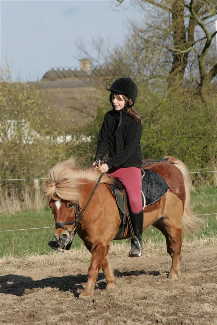 Anden særlig race Smølf (tot) - ej Smølf din lille frækkert, du må ikke hoppe sådan XD Foto: schmølz billede 14