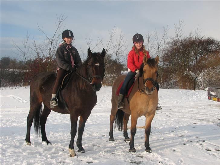 Anden særlig race Kiki  - Mig og Sass, Katrine og Kiki på tur, en vinter dag. 09 billede 5