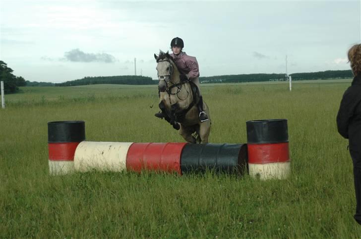 Anden særlig race Kikki - Min dejlige pony <33 Savner dig virkelig skat!! :´( billede 19