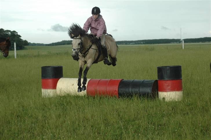 Anden særlig race Kikki - Dejlige minder ! <33 :´/ billede 20