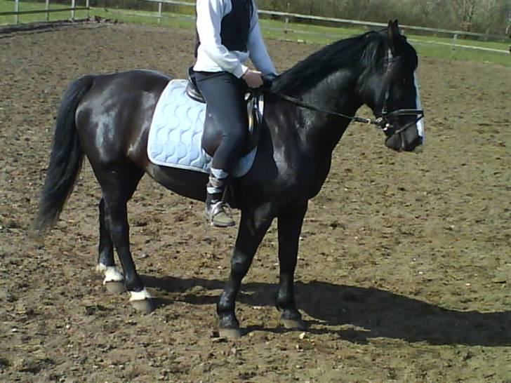 Oldenborg Ofelia  DØD ;( - er vi ikke snart færdig med det her?? billede 17