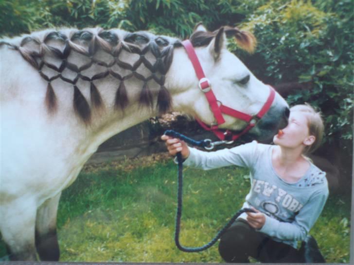Anden særlig race Snebold  - Mig & Snebold deler en gulerod(Første sommer jeg havde part på ham) Foto: Mor billede 6