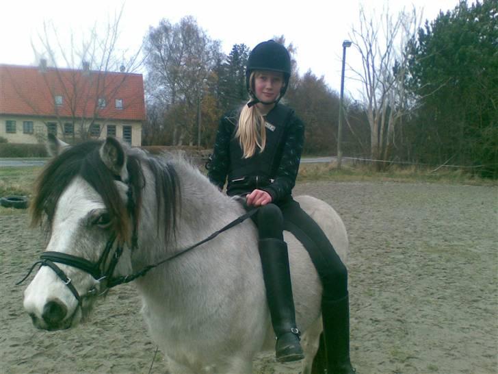 Anden særlig race Snebold  - Snebold er såå dejlig <´3 (meget gammelt billede) Foto: Far billede 7