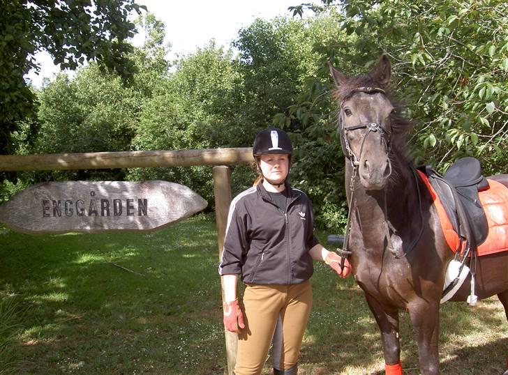 Anden særlig race Kong Louie  SOLGT R.I.P ! - Her står vi ved Enggården skiltet.. Du er for dejlig Louie <3  billede 9