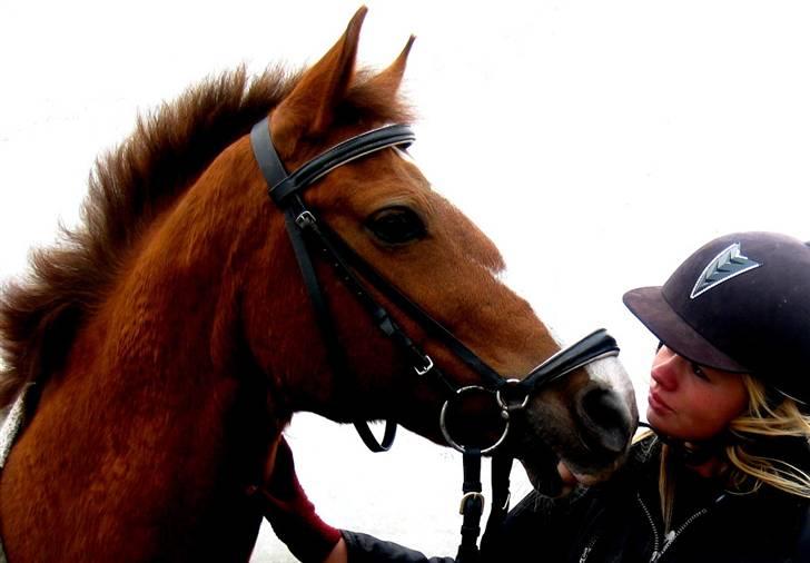 New Forest Rose  - du er den der betyder allermest for mig. intet kan beskrive dig og din enorme personlighed. vi har oplevet så meget sammen.. i medgang og modgang, så vil det altid hedde os. jeg glemmer dig aldrig! du har gjort mit liv til et liv der er værd at leve. billede 6