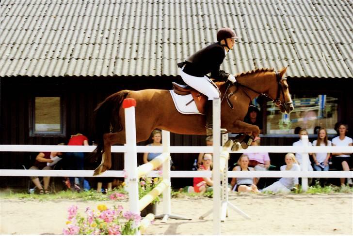 New Forest Rose  - LA. bornholmsmesterskaberne. billede 7