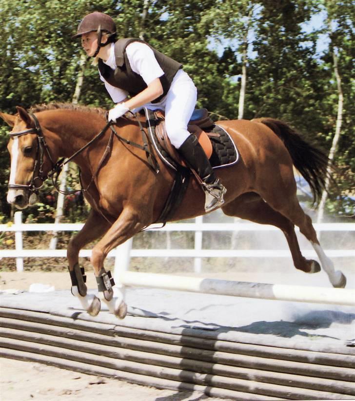 New Forest Rose  - banket. billede 10