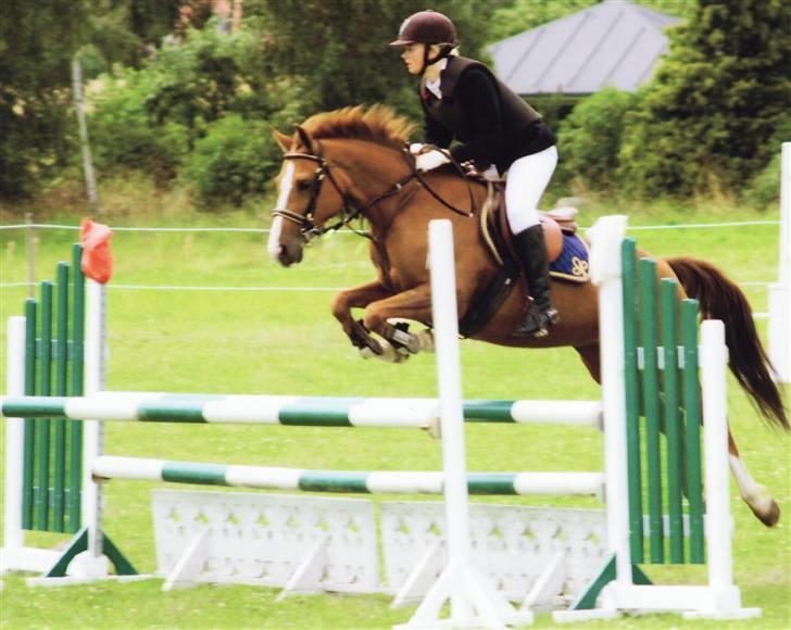 New Forest Rose  - LA.. billede 11