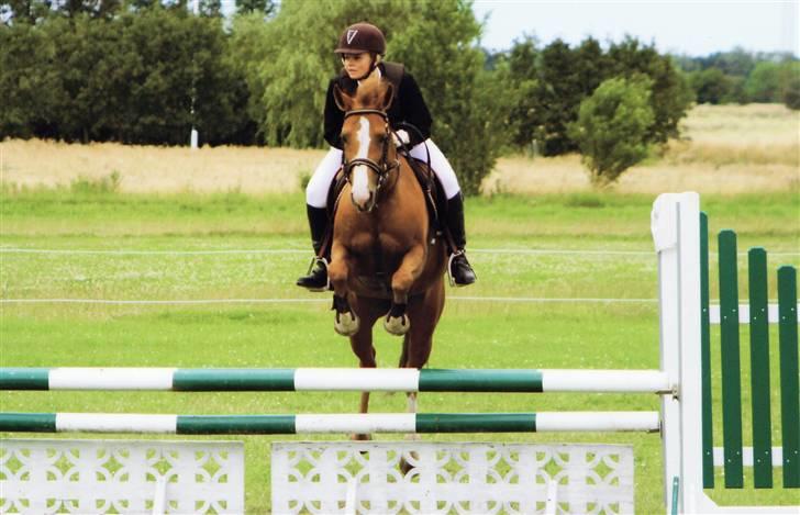 New Forest Rose  - LA. billede 14