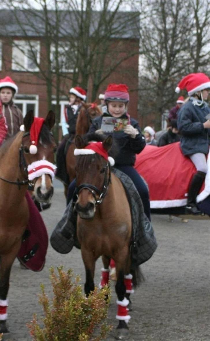 Anden særlig race Pinochio (SOLGT!) - Til juleoptog den 24-12-2007 billede 2