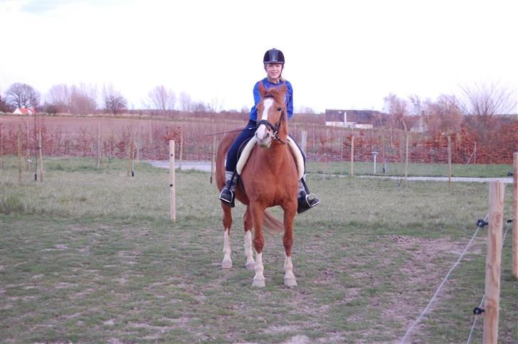 Anden særlig race Cindy <3 - første gang jeg red hende <3<3 hun er bare dejlig! billede 9