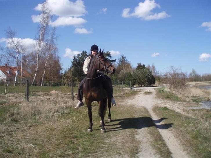 Anden særlig race SWEET WONDER ~ solgt. billede 16