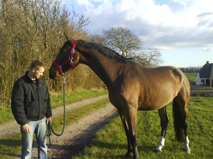 Anden særlig race Milton  billede 7