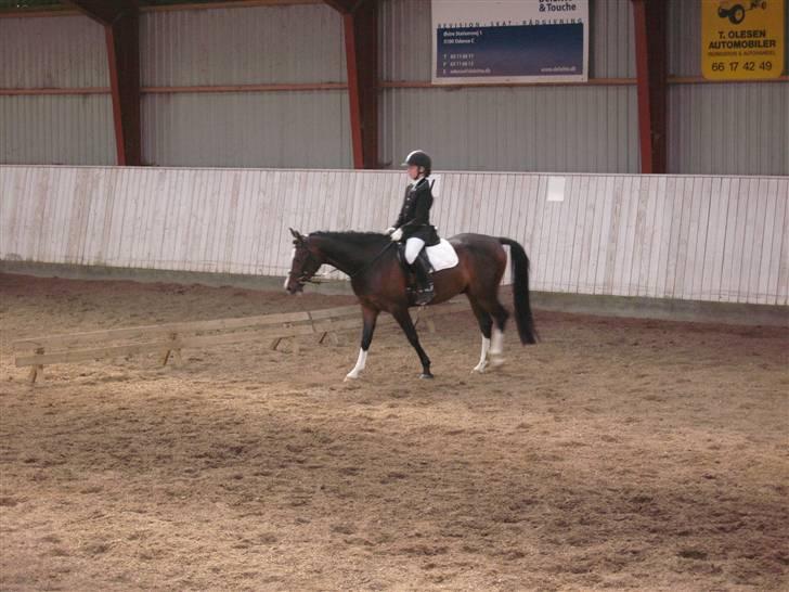 DSP Lintrupgaards FabianSolgt - Stævne på sanderum rideklub... billede 5