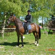 Traver Catch the wind