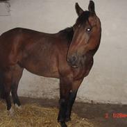 Traver Catch the wind