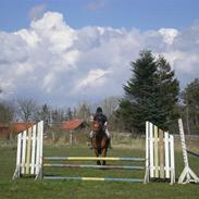 Frederiksborg Nadine Langløkkegård