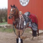 New Forest trusty <3  SOLGT