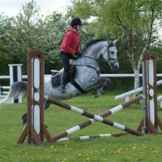 Anden særlig race Kes-esmee *Kiksen*~Solgt