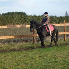 Anden særlig race Bella R.I.P. 