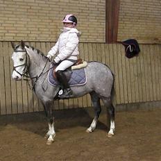 Anden særlig race Faithful´s Shakira B-pony