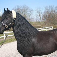 Frieser Harmen fan't Wegje -SOLGT