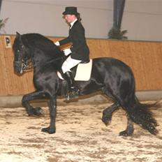 Frieser Harmen fan't Wegje -SOLGT