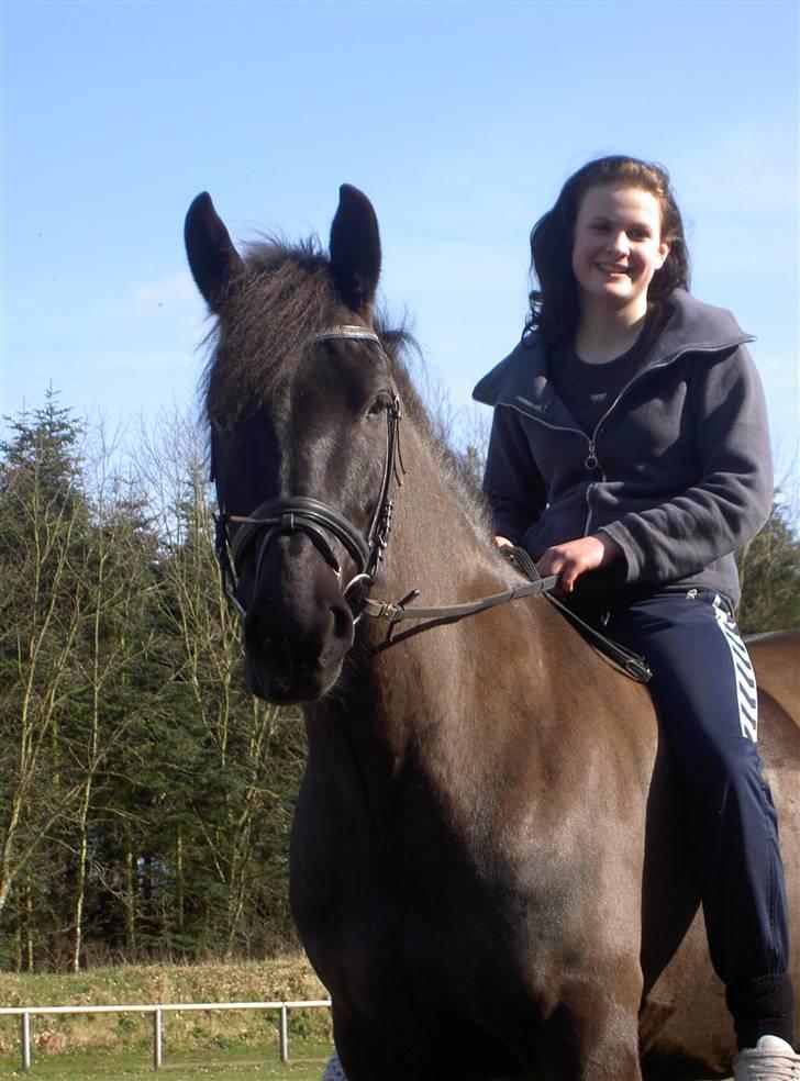 Anden særlig race Kong Louie  SOLGT R.I.P ! - <3 billede 12