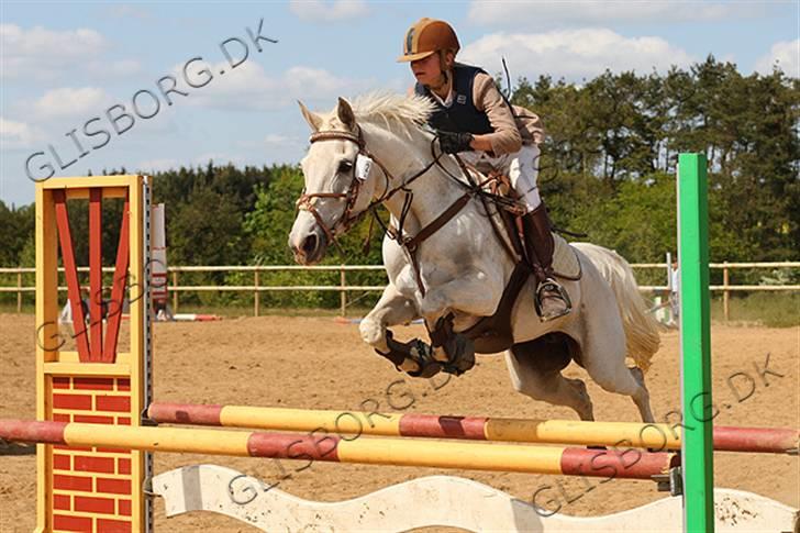 Anden særlig race Flicka  - Sabrina og Flicka i Vestbirk rideklub d. 2008.05.17 - 1.plads LA spring billede 15