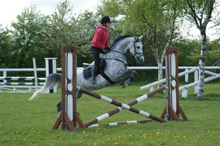 Anden særlig race Kes-esmee *Kiksen*~Solgt - Spring! Foto: Emily K. Hodgkins billede 3