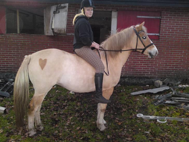 Anden særlig race  Miss Jade  SOLGT - Min datter Camilla og Jade. :o) billede 19