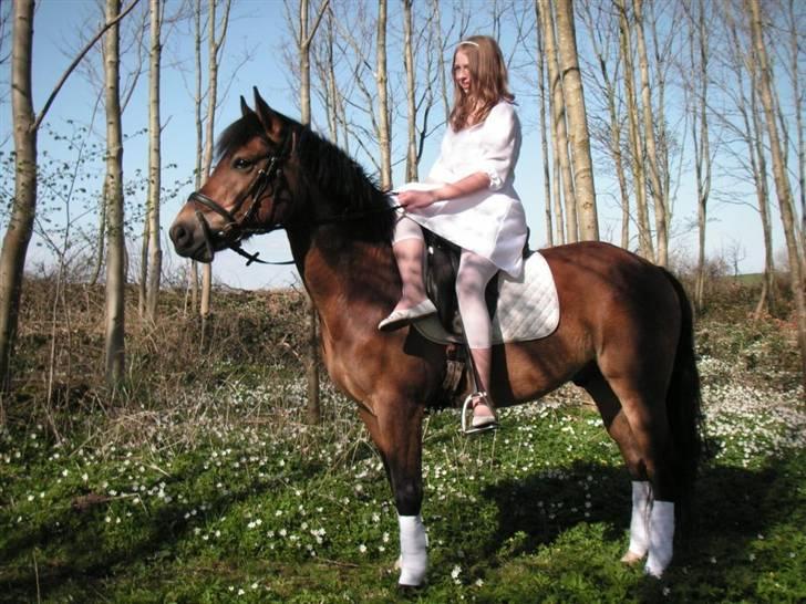 New Forest Strandagers Marchal - konfirmatíon billede 14