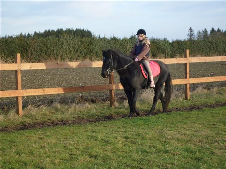 Anden særlig race Bella R.I.P.  - det er mig der rider hende på biledet billede 2