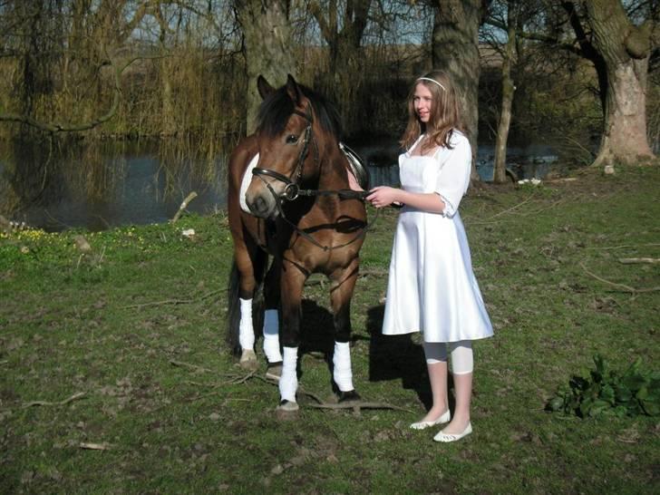 New Forest Strandagers Marchal - konfirmatíon billede 15