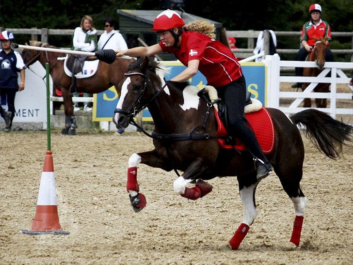 Anden særlig race Shady Lady - Jousting til EM 2010 - 1 Plads B-Finale.  billede 4