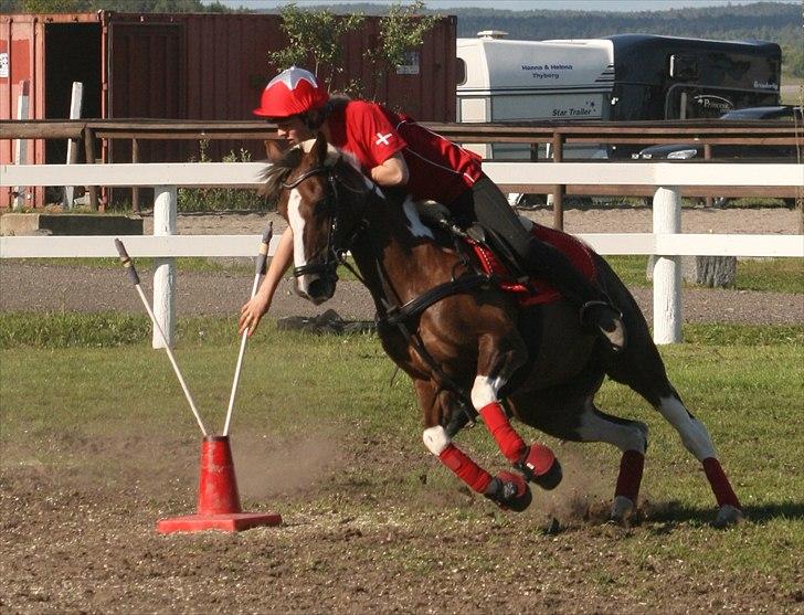 Anden særlig race Shady Lady - Flag til Nisse cuppen i Sverige 2010 Som vi vandt ;) billede 16