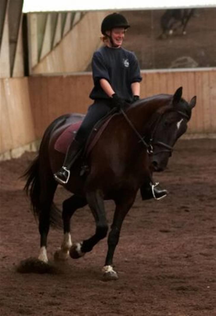 Dansk Varmblod Mai Melanie - Mig & Mai. Taget af min Fætter. D. 16 Juli 2005 billede 5