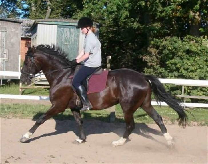 Dansk Varmblod Mai Melanie - Mig & Mai. Taget af min Far. D. 4 Juli 2005 billede 6