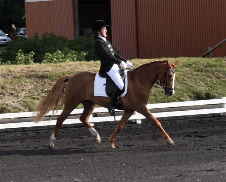 New Forest Beauty *RIP* - Beauty og jeg, i en go´ øning !  billede 10