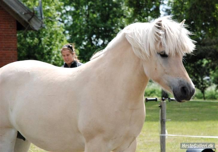 Anden særlig race Mulle   - Velkommen ;) billede 1