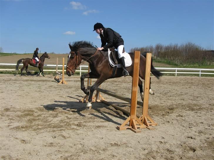 Traver Discovery - Opvarmning til Maribo cup i 50 cm . . . Foto: Vinni Hansen billede 14