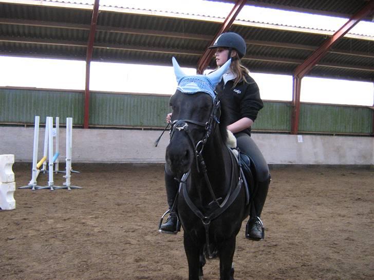 Anden særlig race Lotus Royal billede 15