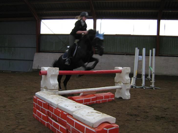 Anden særlig race Lotus Royal - lidt hygge spring  billede 16