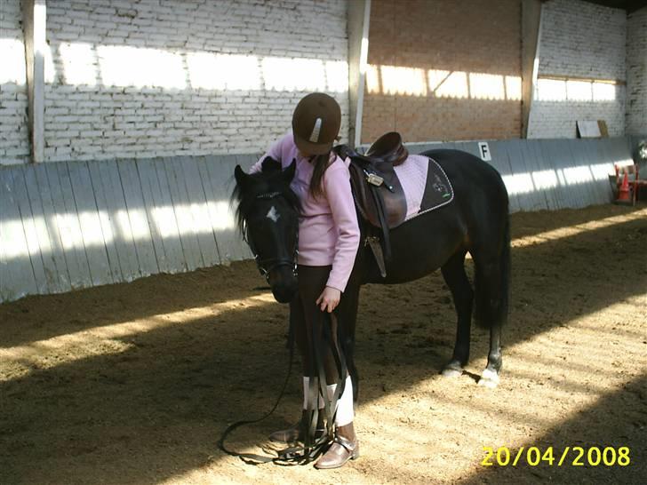 Anden særlig race Faithfull Frenchy - org du hilser da lige på mig ikke hehe billede 6