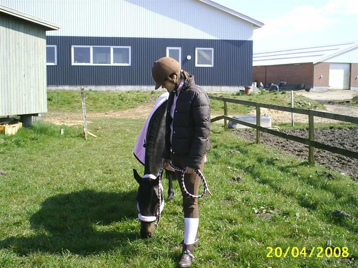 Anden særlig race Faithfull Frenchy - ud og gå en lille tur skønt hehe billede 9