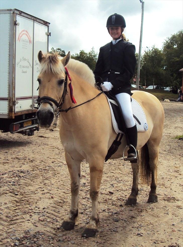 Fjordhest Ricky Lærkedal - efter vores første fejlfrie 60´er. glad hest og glad rytter!! billede 17