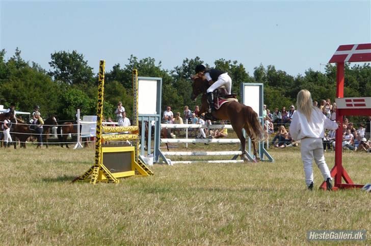 Hollandsk Sportspony angel solgt - pony uge 2008 billede 15