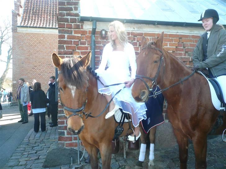 DSP Grønvangs Delight - på min konfirmation, min prins og jeg (: elsker dig billede 7