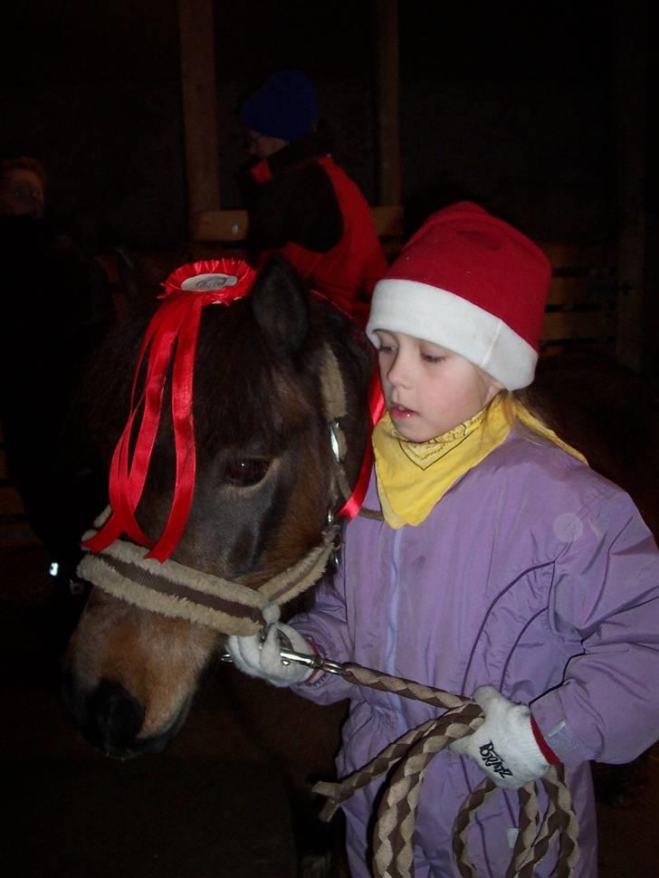 Anden særlig race Romoses Charming Charlie billede 1