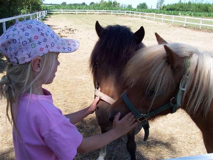 Anden særlig race Romoses Charming Charlie - tillykke billede 10